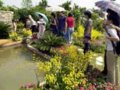 第四屆中國國際園林花卉博覽會(huì)在廣州揭幕