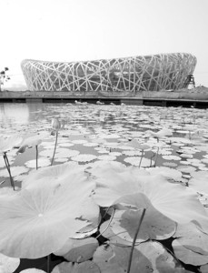  �������w�������B�����ς��˹�����ĺɻ���������