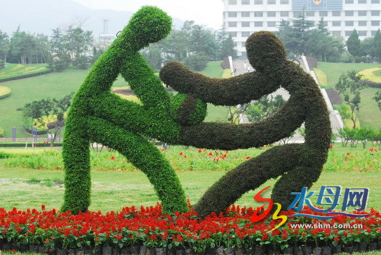 植物雕塑