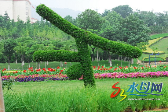 植物雕塑