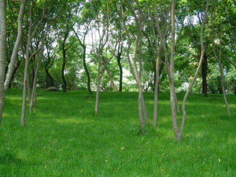 ���޽���Փ������Փ����ַ���O(sh��)��(n��i)�h(hu��n)���G�����칤��