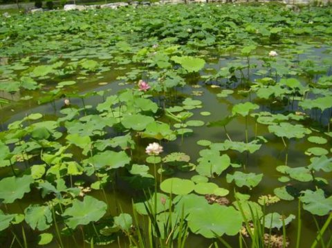 ���޽���Փ������Փ����ַ���O(sh��)��(n��i)�h(hu��n)���G�����칤��