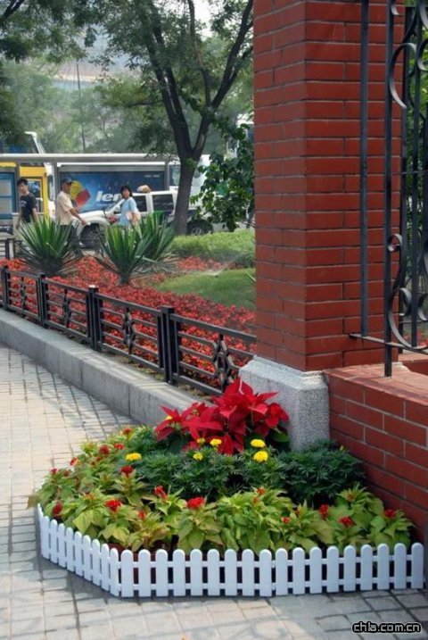 �������^���ܡ��Gɫ�W�\��