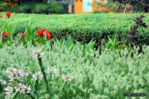 �������^���ܡ��Gɫ�W�\��