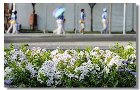 ���R(sh��)�������B����