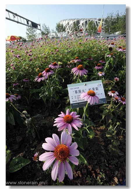 ���R(sh��)�������B����