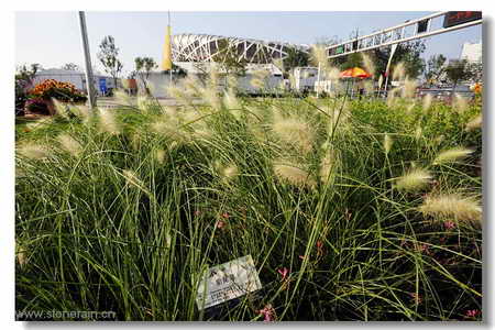 ���R(sh��)�������B����