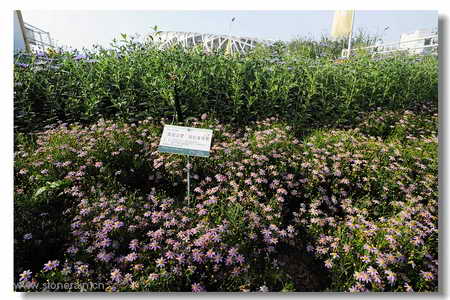 ���R(sh��)�������B����