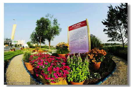 ���R�������B����