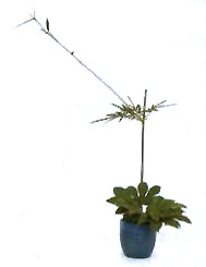 2֦ĺȺ҂ȷքeƬ˽ǽP~ԼӏƷķ