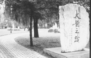 ���Ǵ�W(xu��) ���������t(y��)ˎ��W(xu��)�����еİٲ݈@