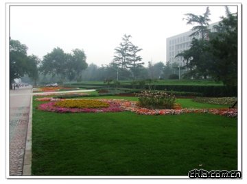路邊的擺花