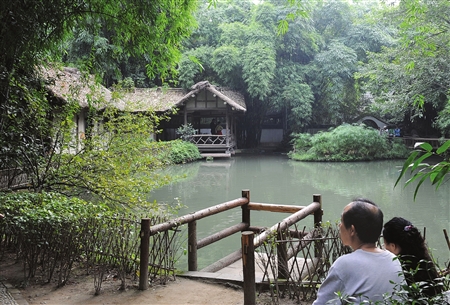 杜甫草堂園林部副主任自盜海棠