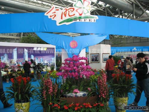 08�Ϸ��罻���״��Ƴ���ɫ�ָ��aƷչʾ