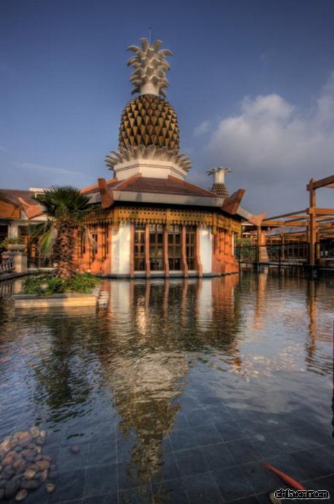 三亞鳳凰機場國際候機花園設計