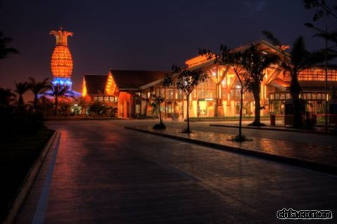 三亞鳳凰機場國際候機花園設計