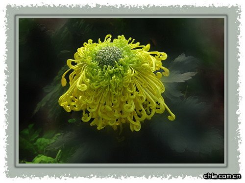 ջ~߅ν(jng)(yn)Մ(D)