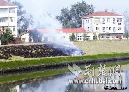 �h�ڣ��̷��G�ؾ��������ġ�(�D)