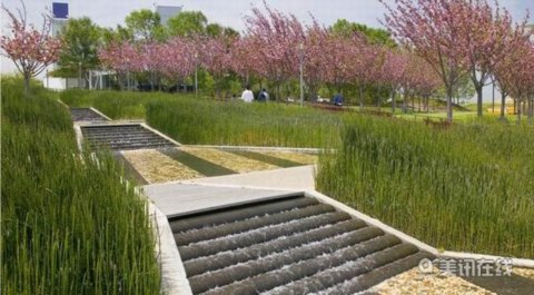 加州山景城查爾斯頓公園設計