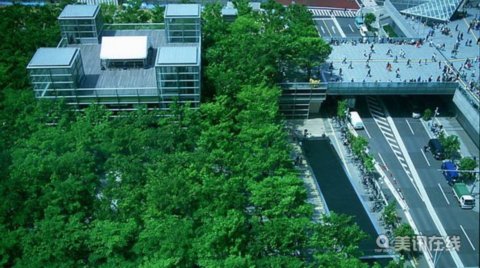 日本崎玉縣空中森林廣場