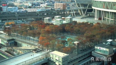 日本崎玉縣空中森林廣場