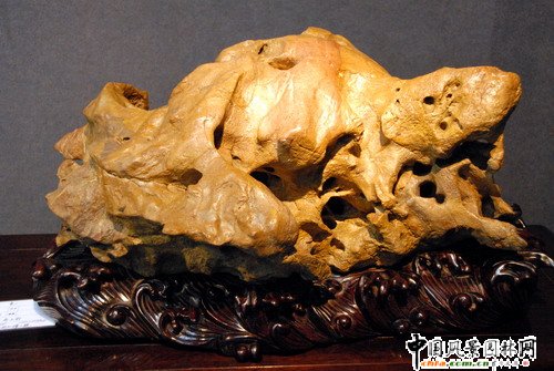 東湖公園奇石展(組圖)