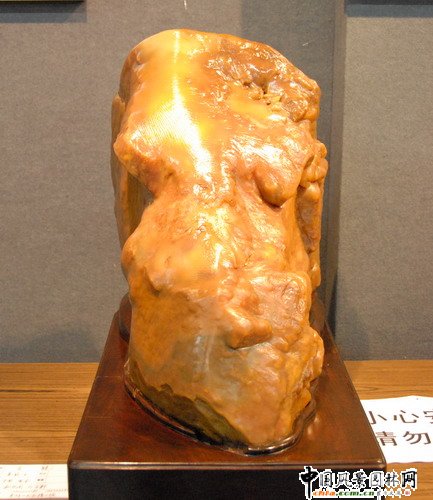 東湖公園奇石展(組圖)
