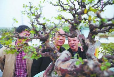 �Ϸ��G����