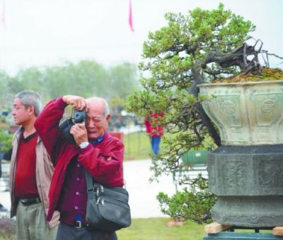 �Ϸ��G����