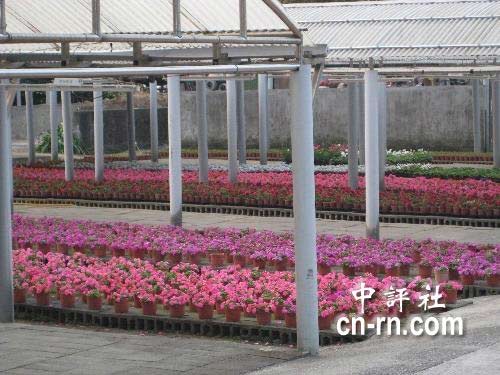 �Y��ʯ��ۡ���@�_�š��L(f��ng)����������(�M�D)