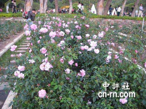 �Y��ʯ��ۡ���@�_�š��L����������(�M�D)