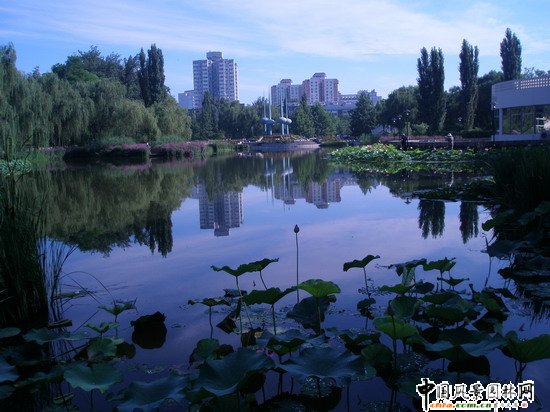 2008(yu)|(zh)֮˶@칤(MD)