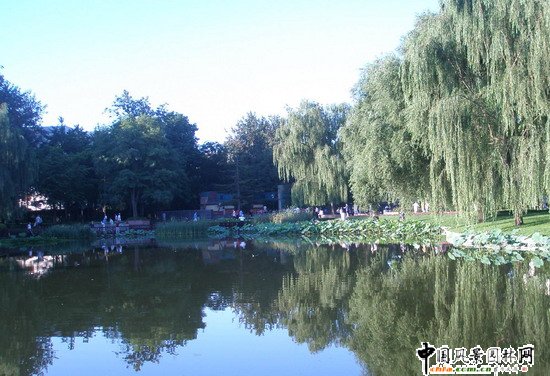 2008(yu)|(zh)֮˶@칤(MD)