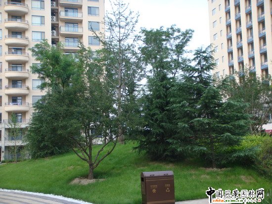 2008���(hu��)��(y��u)�|(zh��)����֮���ɇ��H�@H�^(q��)�@�־��^����