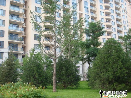 2008�����(y��u)�|(zh��)����֮���ɇ��H�@H�^(q��)�@�־��^����