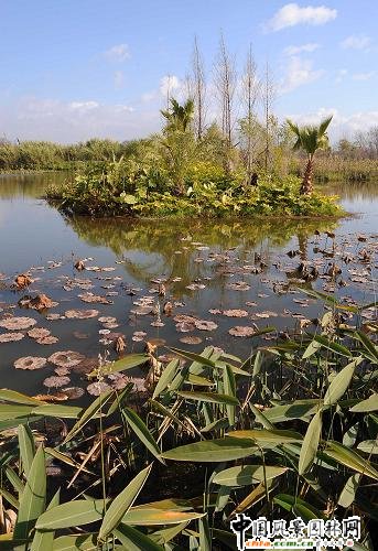 ʡeO(sh)ʩ؝ؽO(sh)(MD)