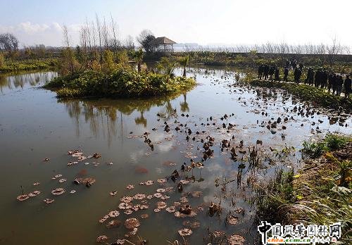 ʡeO(sh)ʩ؝ؽO(sh)(MD)