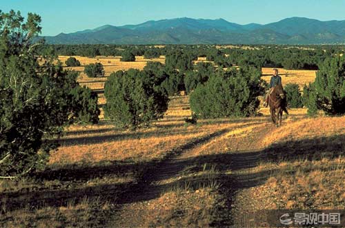 �c�����´��ڞg�[�DƬ