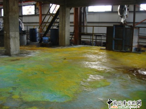 �����֮Ě�Ă���(�M�D)