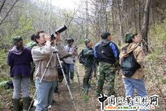 �ږ|�`ɽ-�ٻ�ɽ�L�����م^�_չ�о�