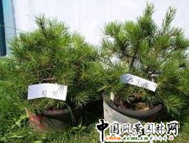 �ԁ�ˮ��ȵČ���ԇ�