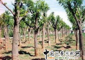 �O�Ӵ�Ҏ����ľ�������