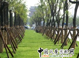 �����S��·�G�ش����ֲʾ���^