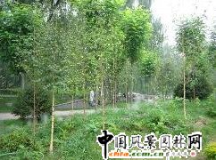 ����Ժ�ט���ʾ���^