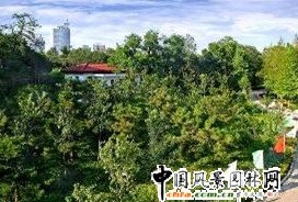 ��Y̶�ə��콻��ʾ���^ 