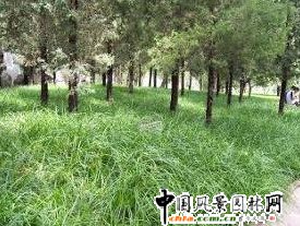 ����̦�� 