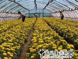 �f�۾շ���