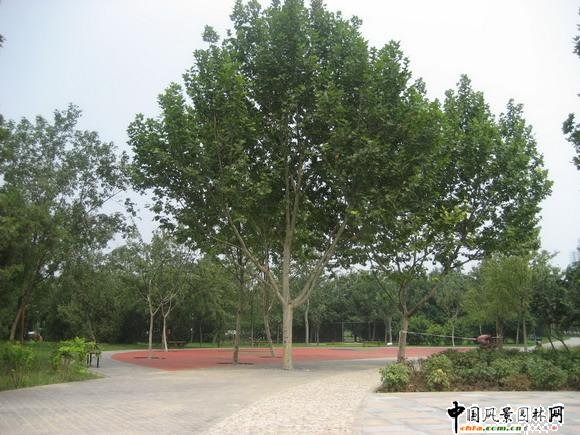 2008�������|���̣��S�_�@�^���@���w���칤��