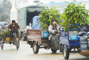 �ǸG������204�����ɂ����԰l�γ��˾d���L�_5������y�ӌ��I�Ј���