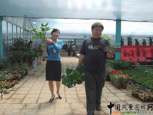 �����S��患�"��һ"С�L�� �����N�ۮ�����(�M�D)